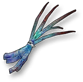 Chaos Vibrissa