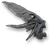 Skeleton Skull