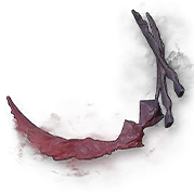 Skeleton Marrow
