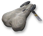Chaos Cartilage