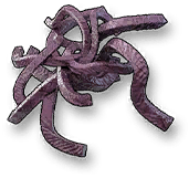 Misfortune Thorn