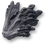 Lost Wood Coral