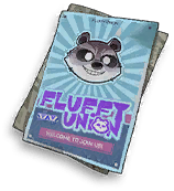 Raccoon Poster