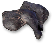 Shiranui Foot