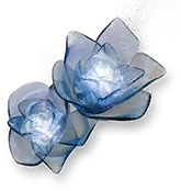 Mournful Bloom
