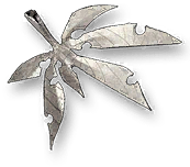 Sleeper Withered Leaf