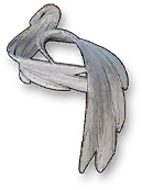 Recurve Feather