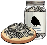 Sunflower Seeds